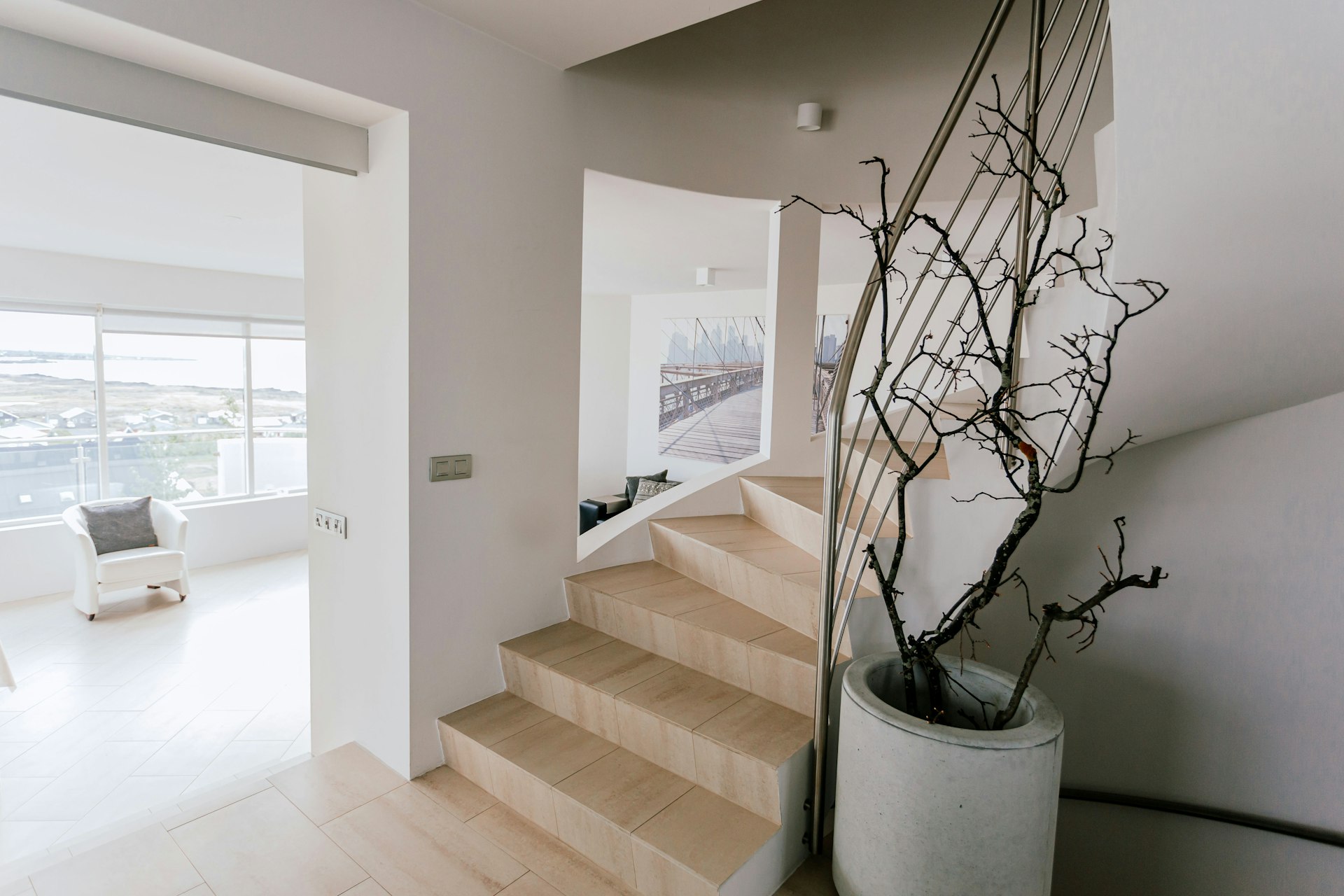 a room with a plant in it